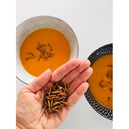 Velké degustační balení Křupavých červíků (10x 20g) Velké degustační balení Křupavých červíků (10x 20g)